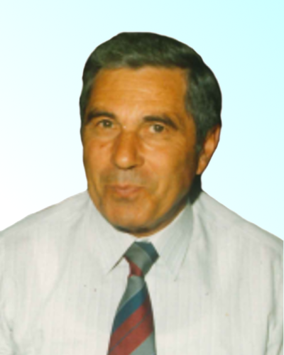 marco gattolin