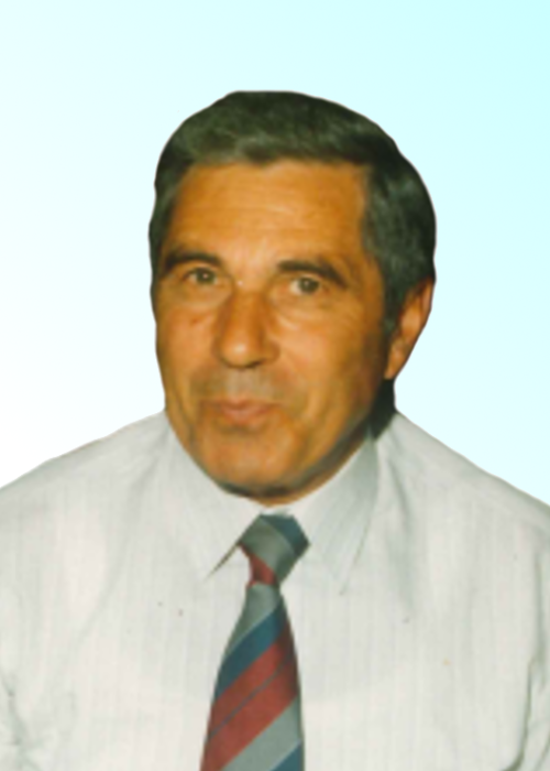 marco gattolin