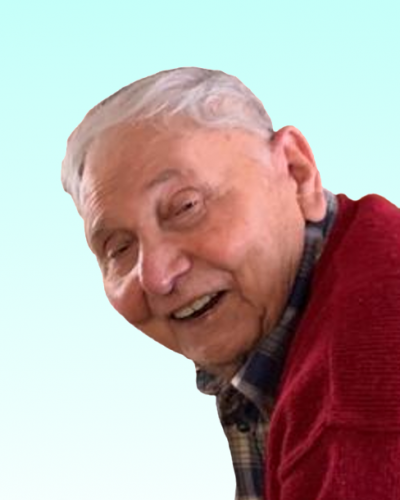 nevio borsetto