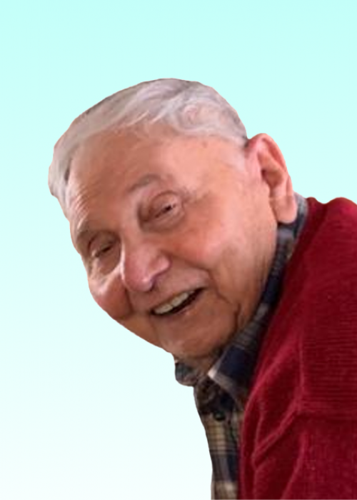 nevio borsetto